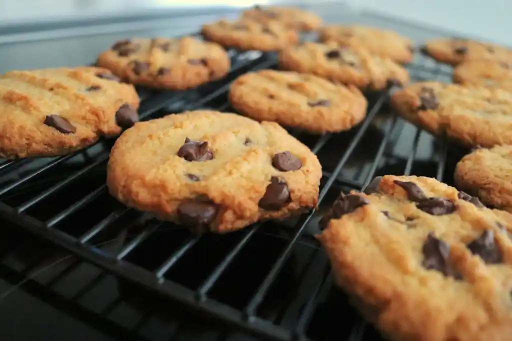 A batch of chocolate chip cookies